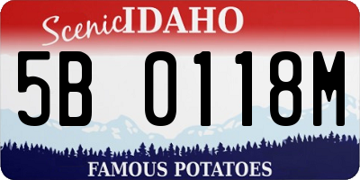 ID license plate 5B0118M