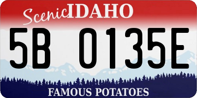 ID license plate 5B0135E