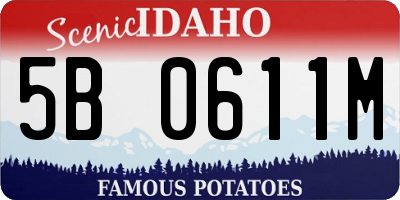ID license plate 5B0611M