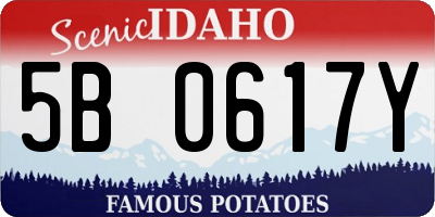ID license plate 5B0617Y