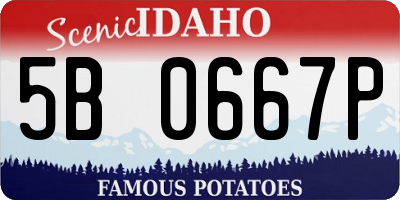 ID license plate 5B0667P