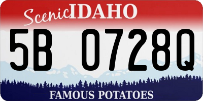 ID license plate 5B0728Q