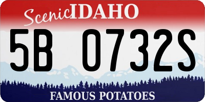 ID license plate 5B0732S