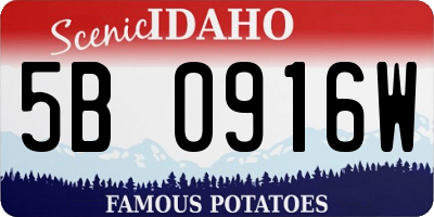 ID license plate 5B0916W
