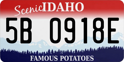 ID license plate 5B0918E