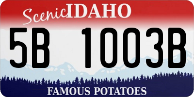 ID license plate 5B1003B