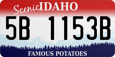 ID license plate 5B1153B