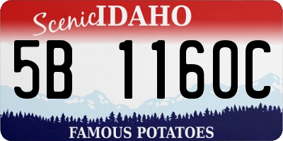 ID license plate 5B1160C