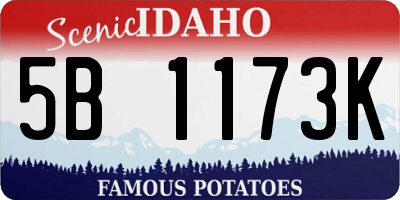 ID license plate 5B1173K