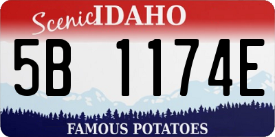 ID license plate 5B1174E