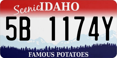ID license plate 5B1174Y