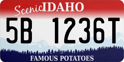 ID license plate 5B1236T