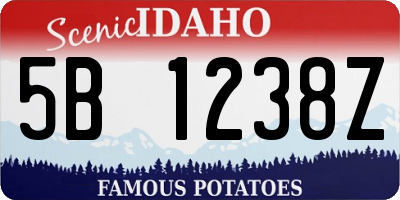 ID license plate 5B1238Z