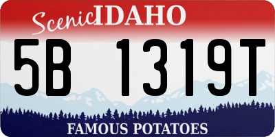 ID license plate 5B1319T