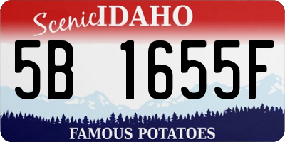 ID license plate 5B1655F
