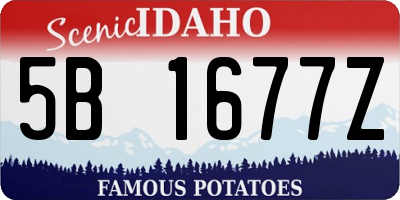 ID license plate 5B1677Z