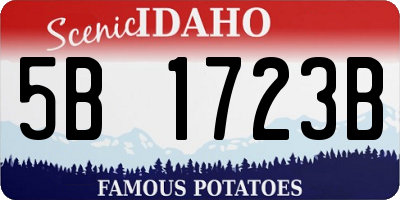 ID license plate 5B1723B