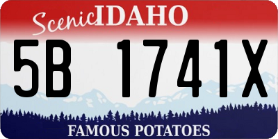 ID license plate 5B1741X
