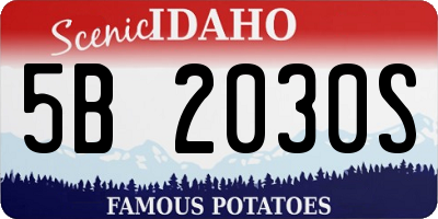 ID license plate 5B2030S