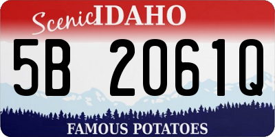 ID license plate 5B2061Q