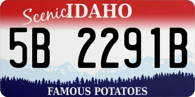 ID license plate 5B2291B