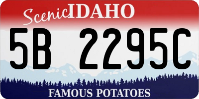 ID license plate 5B2295C