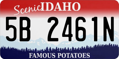 ID license plate 5B2461N