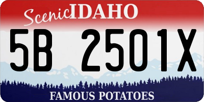 ID license plate 5B2501X