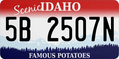 ID license plate 5B2507N