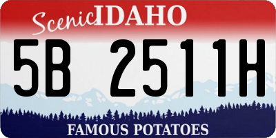 ID license plate 5B2511H