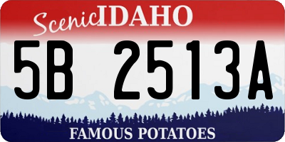 ID license plate 5B2513A