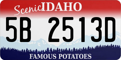 ID license plate 5B2513D