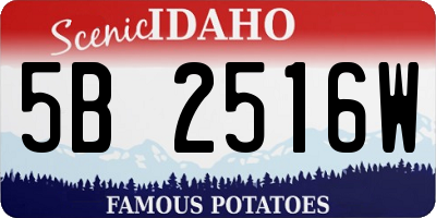 ID license plate 5B2516W