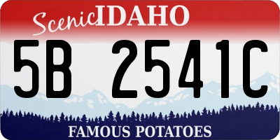 ID license plate 5B2541C