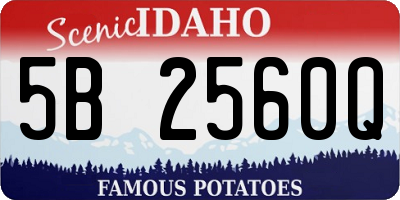 ID license plate 5B2560Q