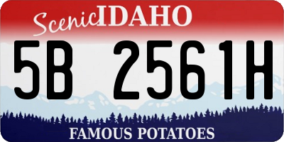 ID license plate 5B2561H