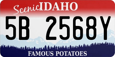 ID license plate 5B2568Y