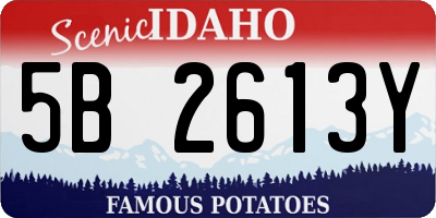 ID license plate 5B2613Y