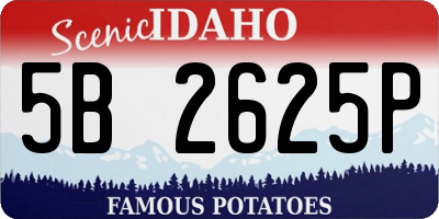 ID license plate 5B2625P