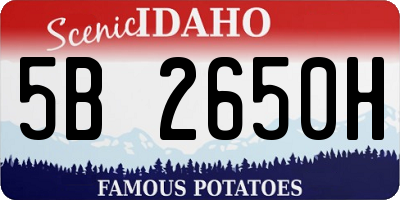 ID license plate 5B2650H