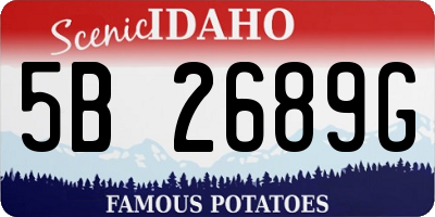 ID license plate 5B2689G