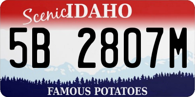 ID license plate 5B2807M