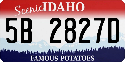 ID license plate 5B2827D