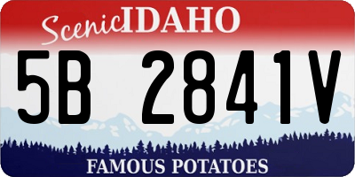 ID license plate 5B2841V