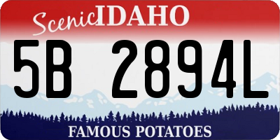 ID license plate 5B2894L
