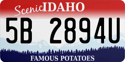 ID license plate 5B2894U