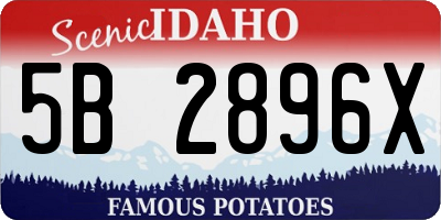 ID license plate 5B2896X