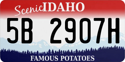 ID license plate 5B2907H
