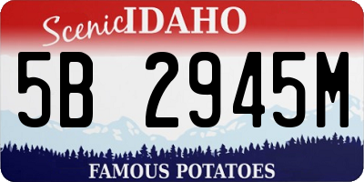 ID license plate 5B2945M