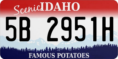 ID license plate 5B2951H